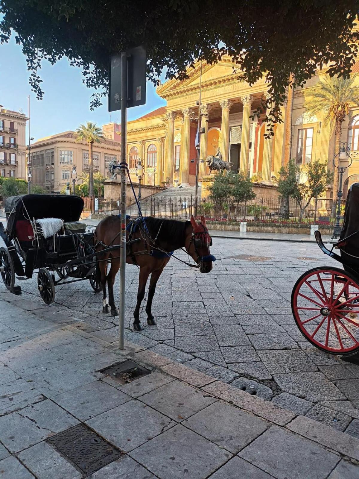 Casa Terramare Apartman Palermo Kültér fotó